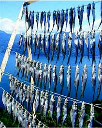 Missoltini del Lario